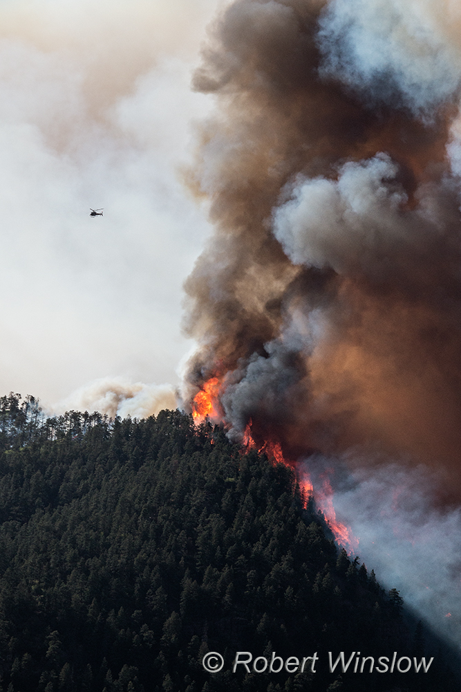 416 Wildfire, Durango, La Plata County, Colorado, USA, North America
